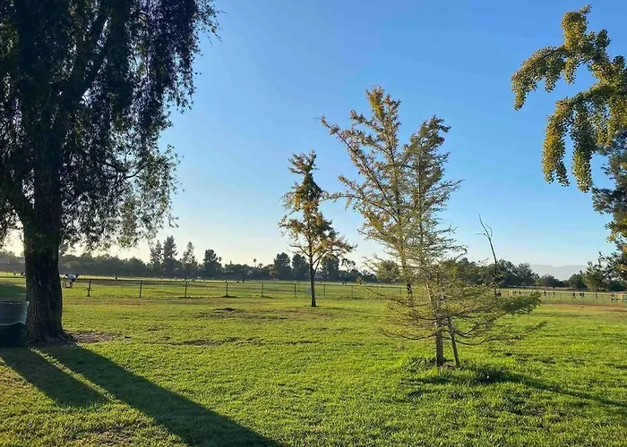 Hidden Gem La 2Bd House With Dreamy Backyard